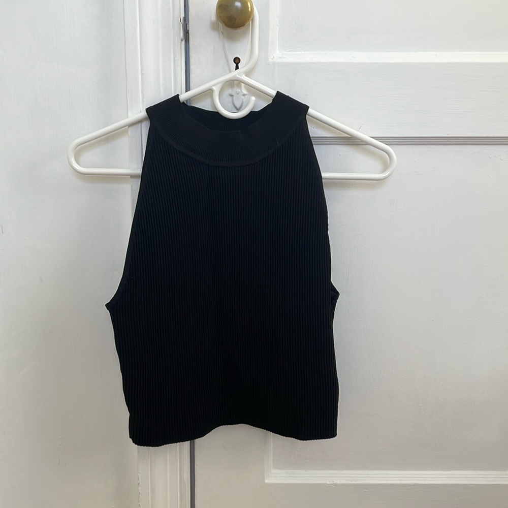 Aritzia Ribbed Crop Tank